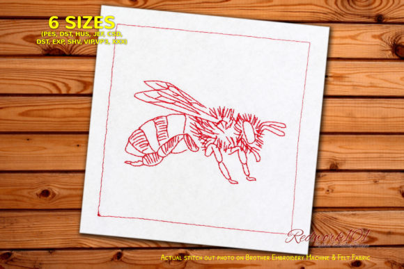 Close Up View of Honey Bee: A Seasonal Review